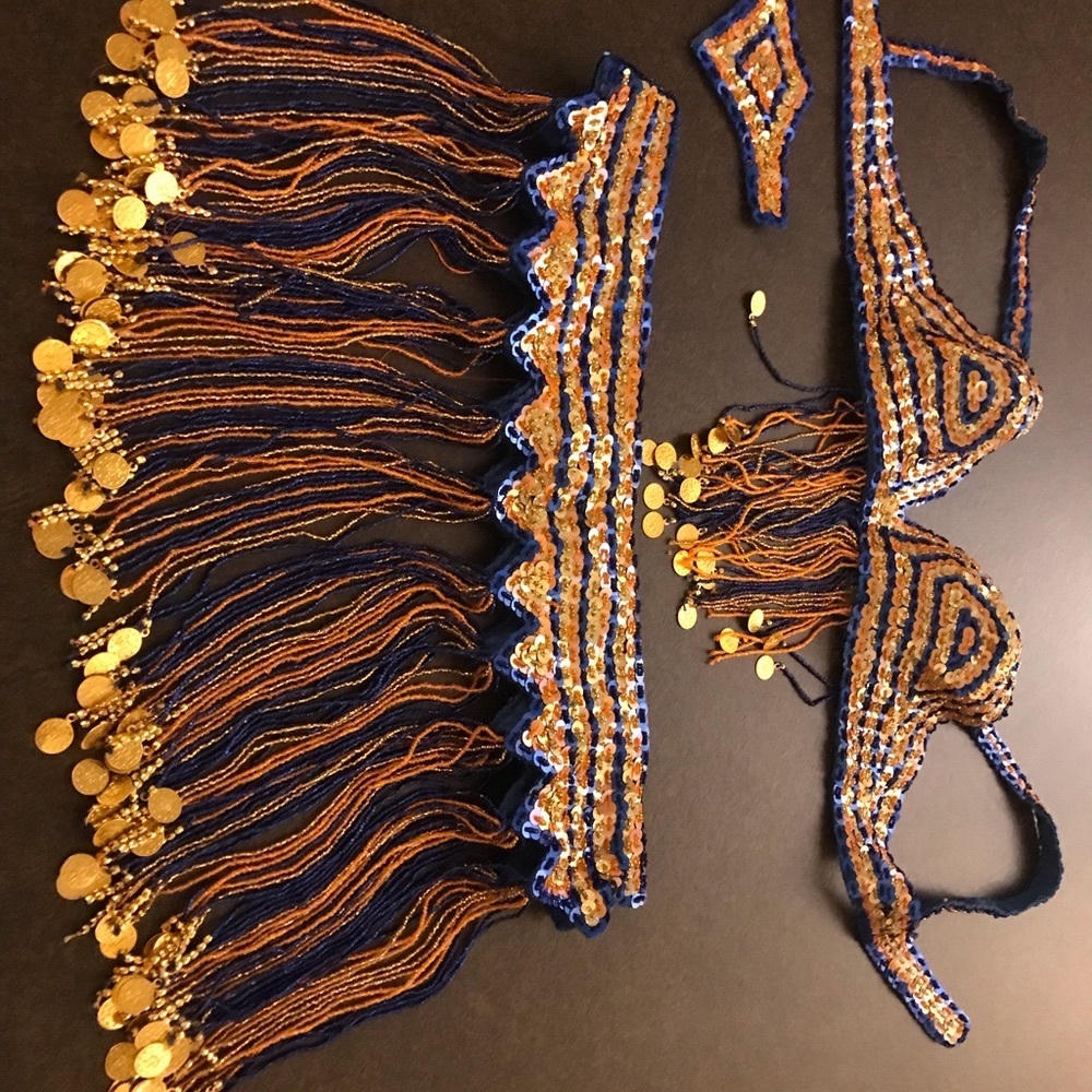 Belly Dance Costume New
